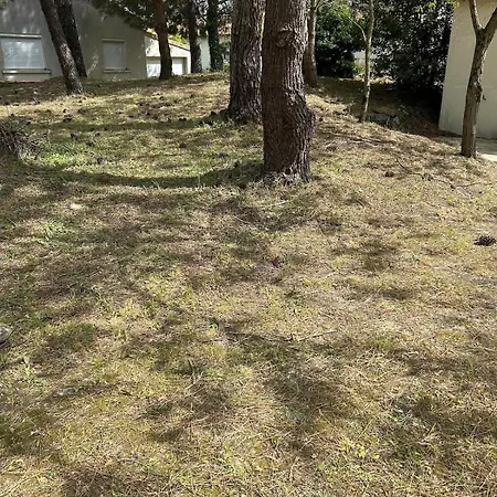 Jolie Maison Les Pins Et La Pour 4 Personnes Hébergement de vacances Marennes (Charente-Maritime)