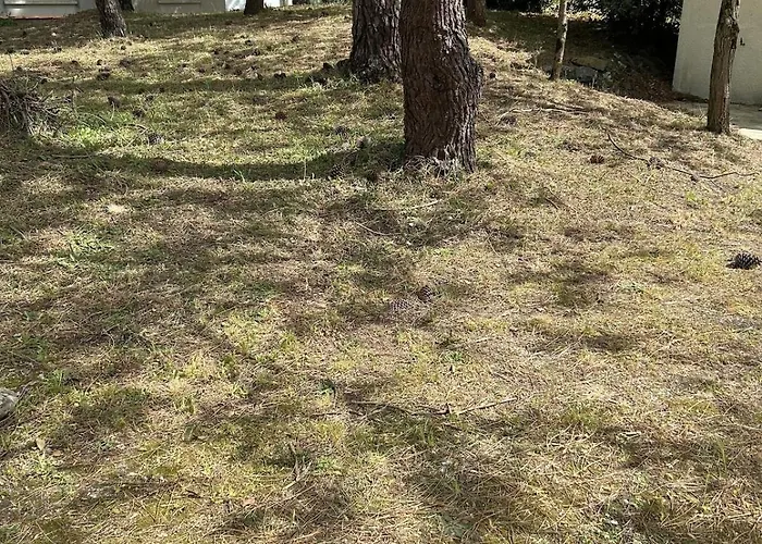 Jolie Maison Les Pins Et La Pour 4 Personnes Сasa de vacaciones Marennes (Charente-Maritime)